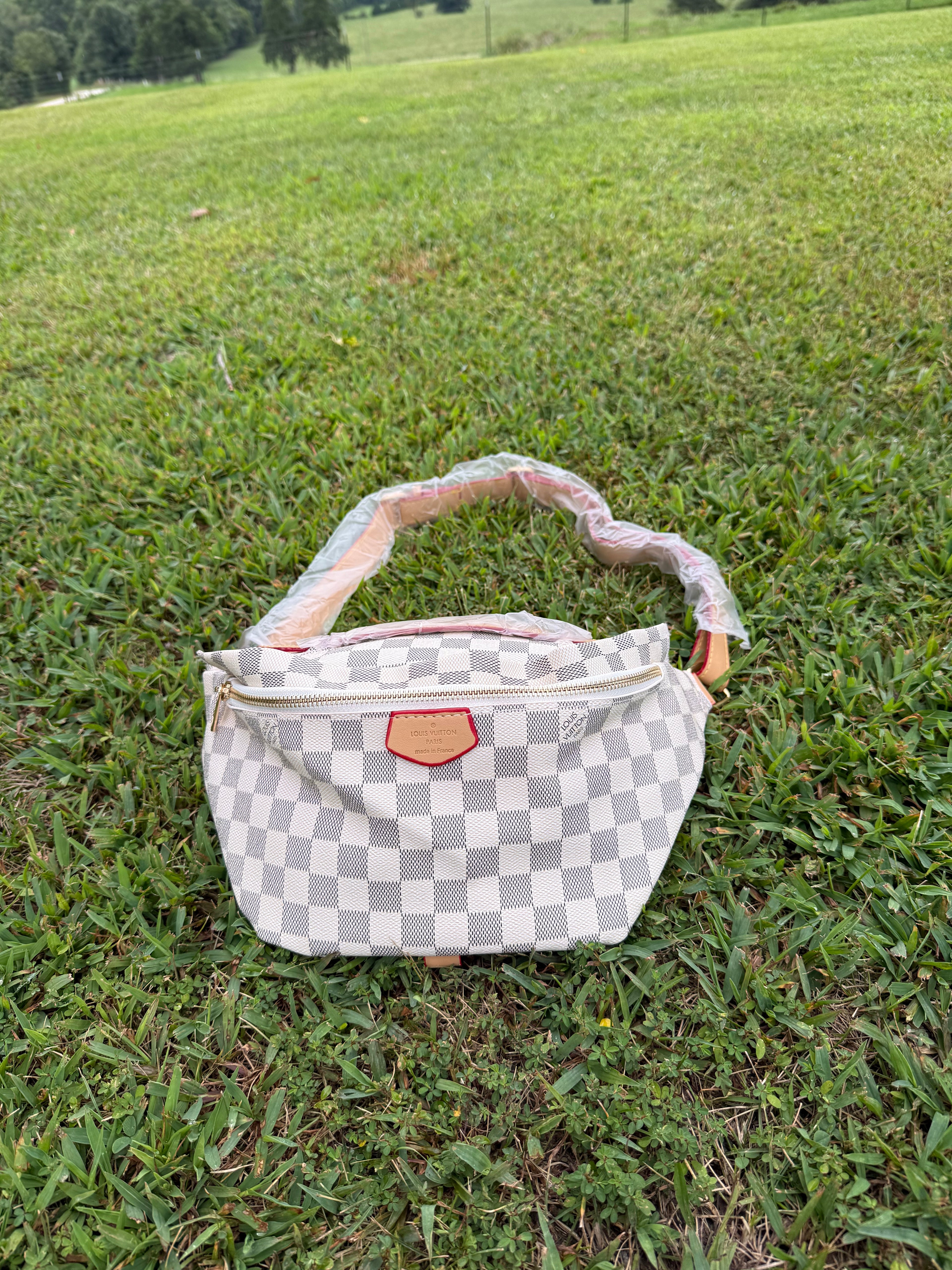 LV Fanny