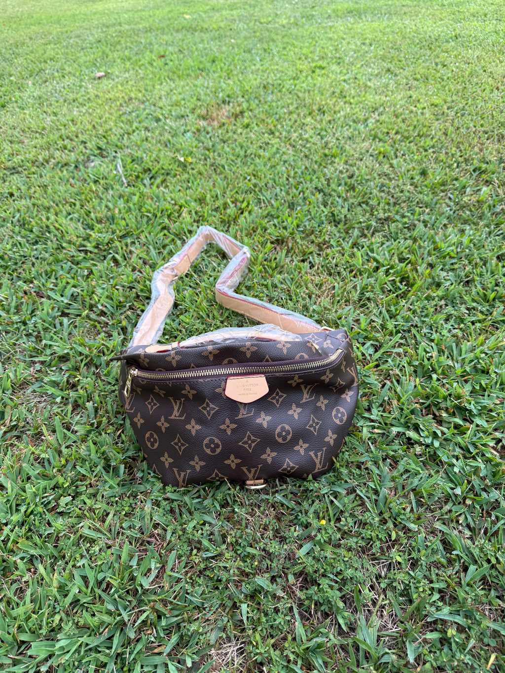 LV Fanny
